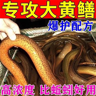 黄鳝小药抓捕鳝鱼专用饵料泥鳅鳝鱼诱捕神器高浓度诱饵抓鳝诱食剂