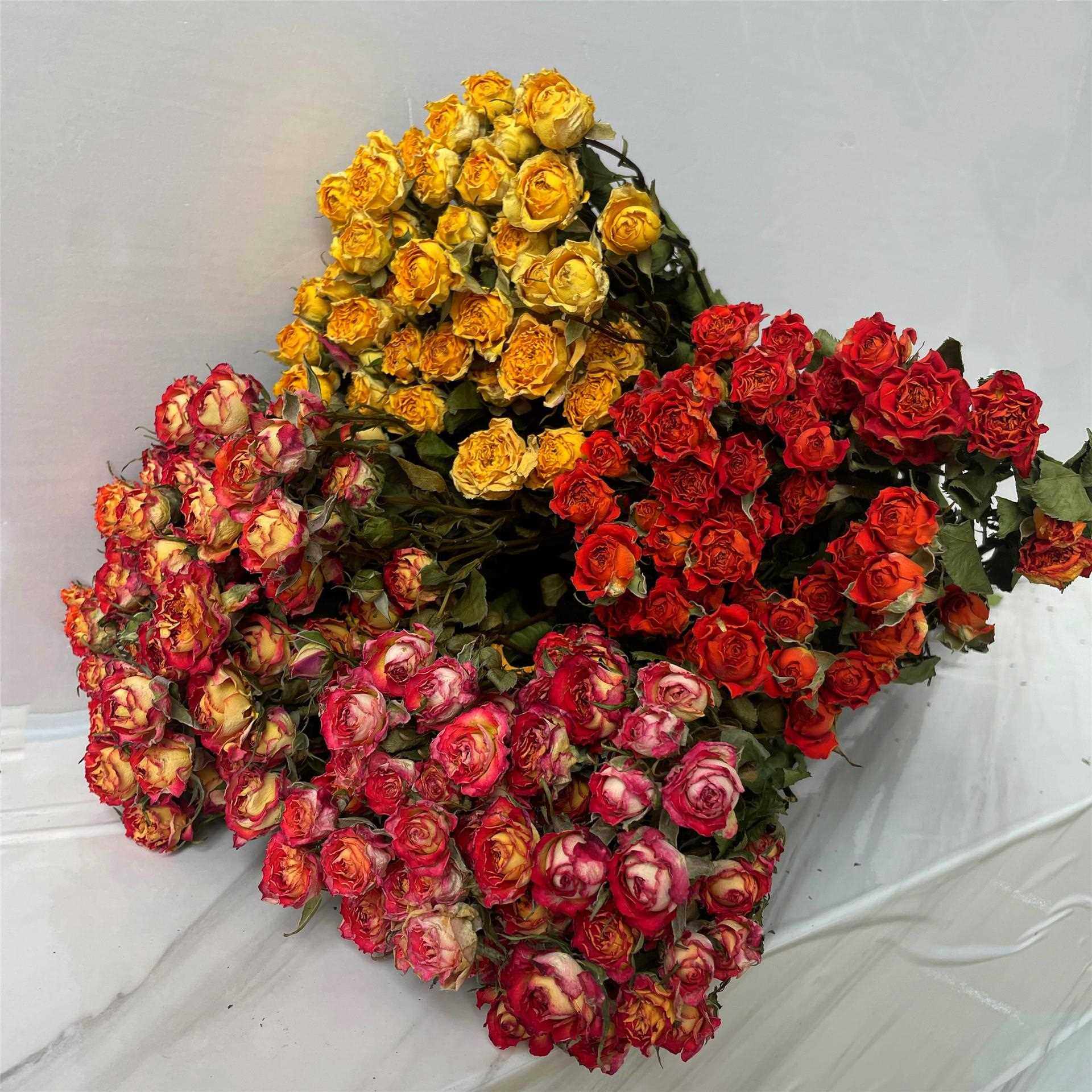 直销新款自然风干真花束多头泡泡玫瑰干燥花车载永生花摆件DIY材,家居饰品,餐桌花艺,淘宝优惠券,粉丝福利购,淘宝优惠卷