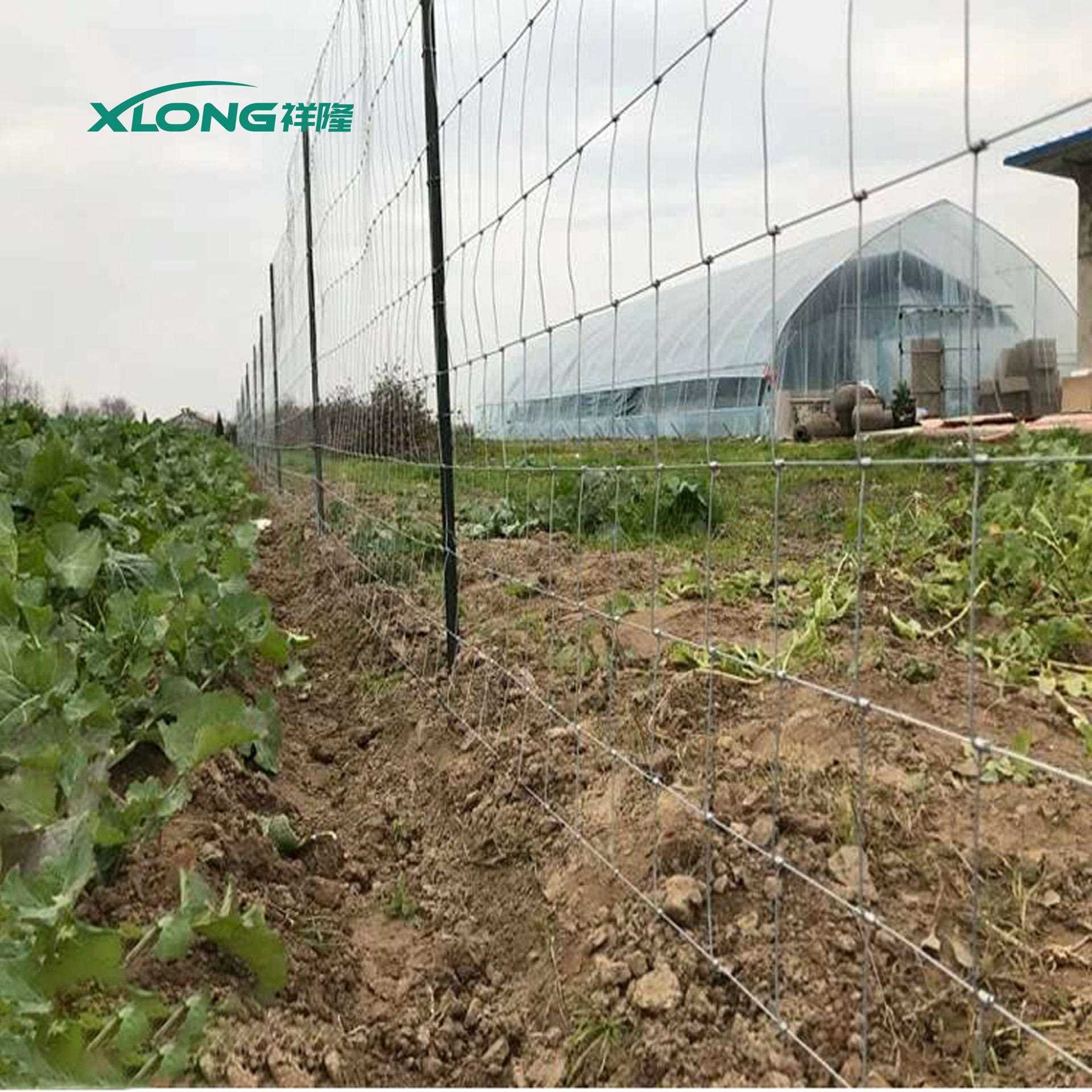 直销新款镀锌铁丝养殖围栏网草原围栏网牛羊鹿农场养殖围栏网现货