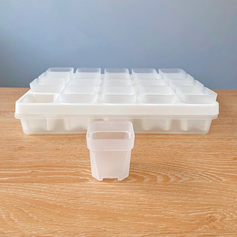 5cm口径 多肉植物花盆配托架托盘组合盖闷养保湿配托盘叶扦插育苗