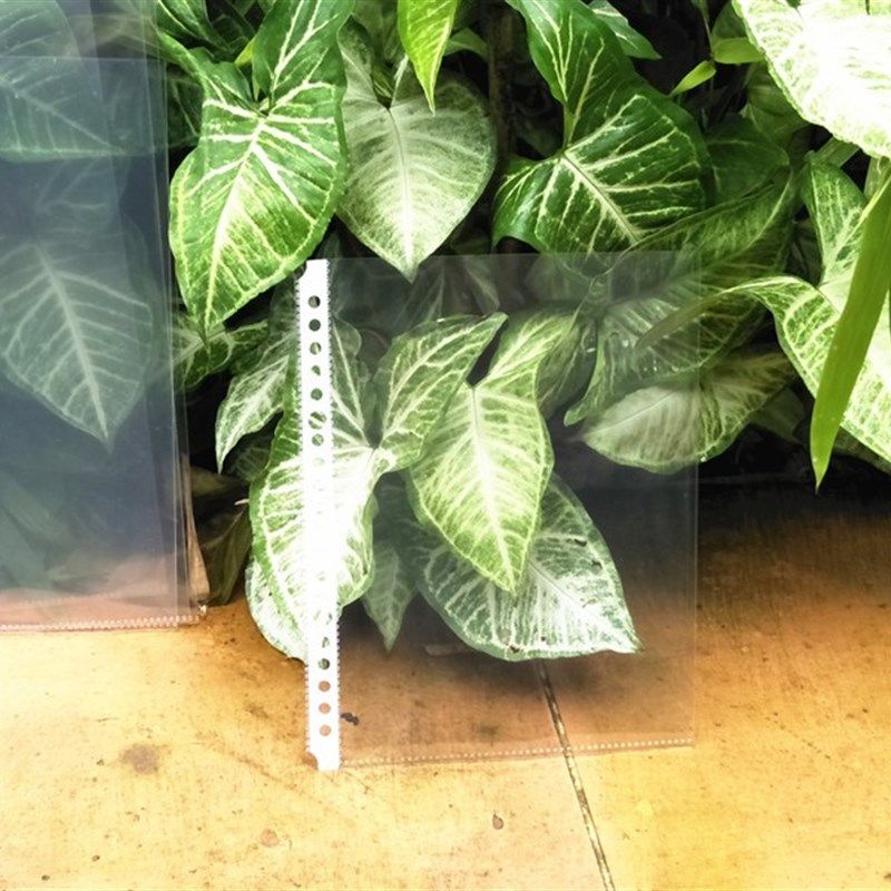 高清A3/8K/A4 /B5/A5文件夹内页袋资料保护膜活页透明袋20孔26孔,文具电教/文化用品/商务用品,文件袋/资料袋/试卷收纳袋,淘宝优惠券,粉丝福利购,淘宝优惠卷