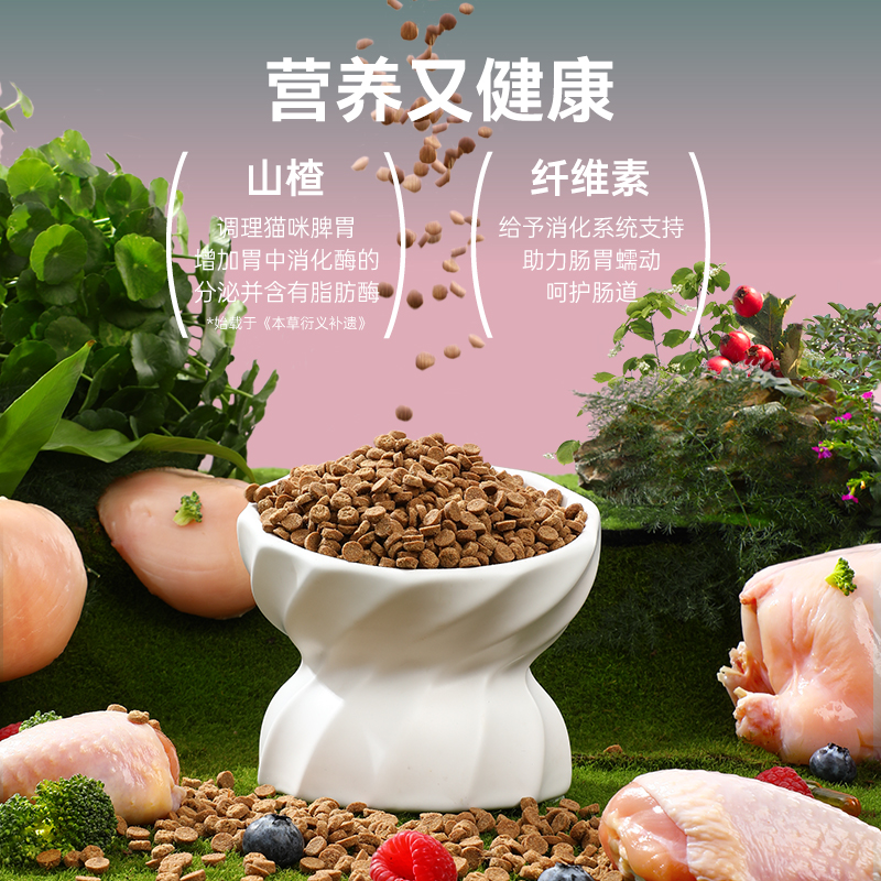 宠熙呵护肠胃健康肠道粮低温烘焙猫粮全价成猫幼猫兔肉配方H40