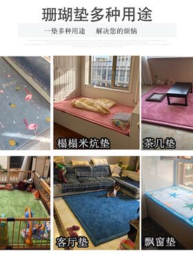 爬爬垫成人加厚地毯卧室地垫睡觉打地舖神器儿童宝宝爬行垫防滑垫