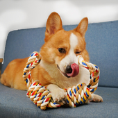 宠物互动耐咬大号绳结玩具小中大型犬狗狗棉绳金毛拉布拉多磨牙棒