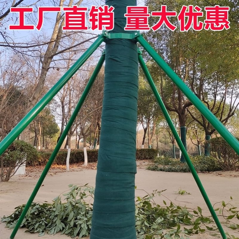 树木支撑架烤漆镀锌钢管园林绿化行道乔木支撑杆大树铁抱箍固定器