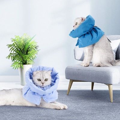 Pet Collar AntiBite Surgery AntiLick Wound Healing Protect