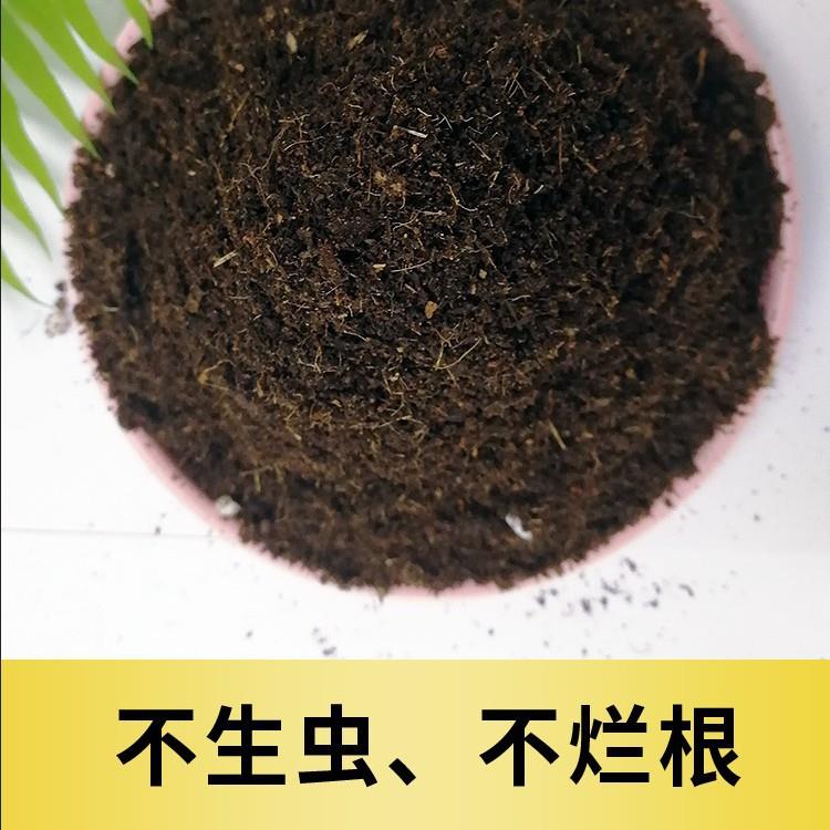 直销新款腐殖土天然腐叶土爬宠兰花养花专用种菜土壤通用型腐熟45