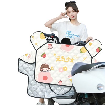 电动车挡风被夏季防晒挡风罩四季通用薄款春秋双面防水夏小型遮阳