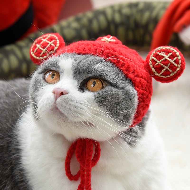 猫咪帽子狗狗帽宠物饰品布偶纯手工毛线针织小型犬头套拍照道具
