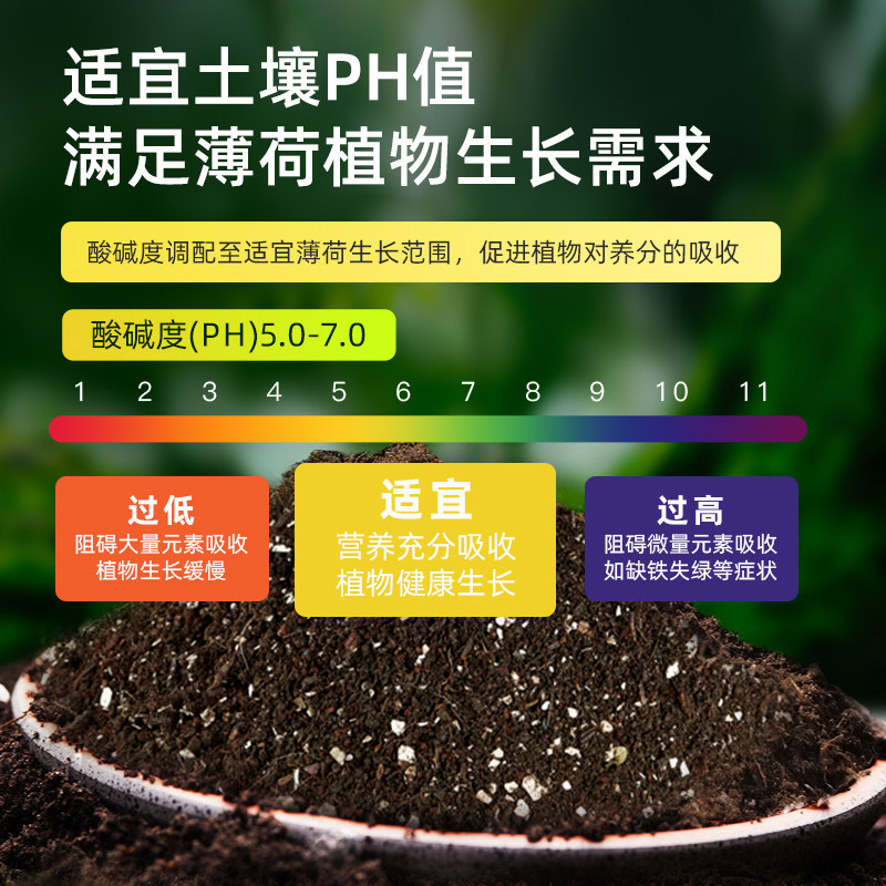 种薄荷专用土盆栽营养土培植土壤疏松透气含羞草花泥土种植土肥料