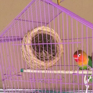 牡丹文鸟珍珠虎皮鹦鹉十姐妹七彩窝草编鸟窝鸟巢窝繁殖窝一个包邮