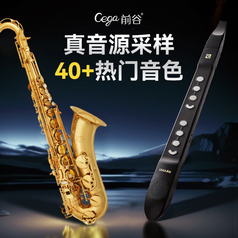 前谷cega电子吹管初学迷你笛子专业演奏级乐器大全初学入门萨克斯