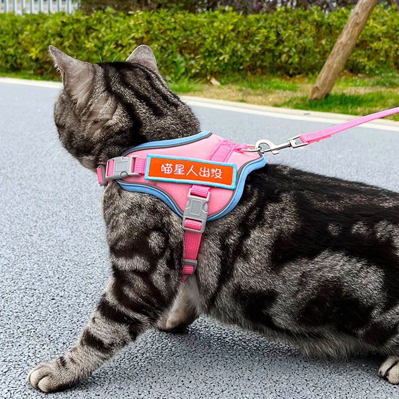 猫咪牵引绳外出专用防挣脱遛猫绳背心式舒适背带猫绳网红遛猫链子,宠物/宠物食品及用品,猫牵引绳,淘宝优惠券,粉丝福利购,淘宝优惠卷