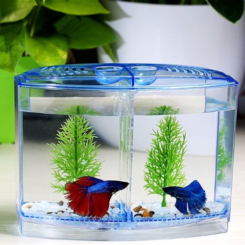 迷你小鱼缸水族箱斗鱼隔离盒创意斗鱼缸办公室桌面小型热带鱼缸
