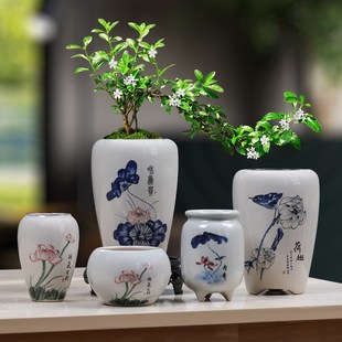 创意家用青花陶瓷小赤叶楠花盆带托盘文竹发财树蝴蝶兰盆栽盆景盆