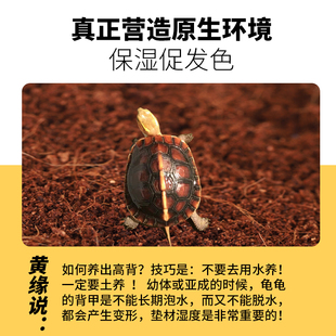 黄缘龟爬宠垫材无菌腐殖土蜥蜴角蛙半水龟陆龟饲养箱造景专用椰土