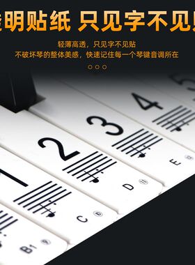 钢琴电子琴键盘贴纸88/61/54键儿童成人自学五线谱简谱无胶静电