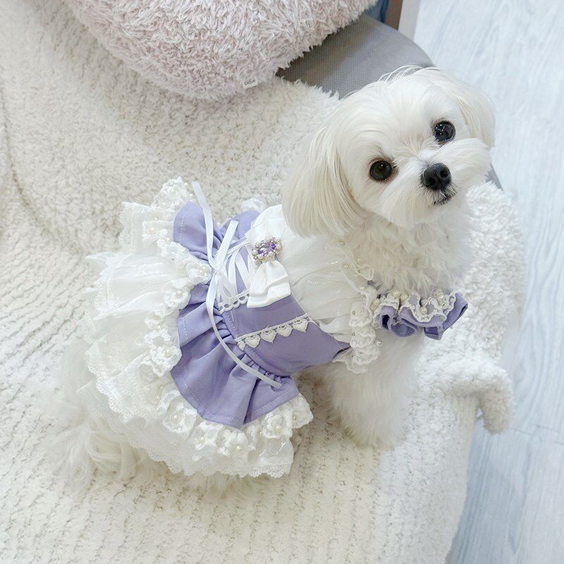 私宠手作狗狗长发公主裙小型犬可爱裙子博美小马泰迪猫咪春秋衣服