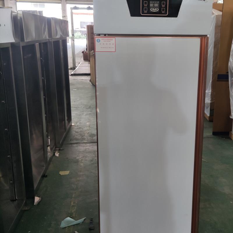 订做高温消毒碗柜商用柜热风循环双门消毒柜碗柜餐厅大柜餐具餐柜