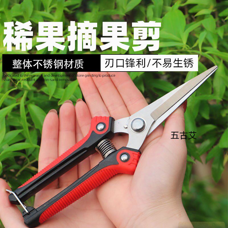 园林剪子摘果剪葡萄粒修枝花卉砂糖橘子花椒水果蔬果西红柿稀果剪