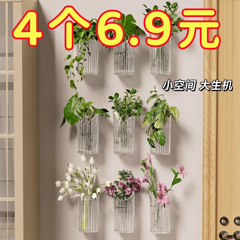 水培植物壁挂花盆透明绿萝鲜置物架创意客厅墙壁装饰挂件绿植花盆