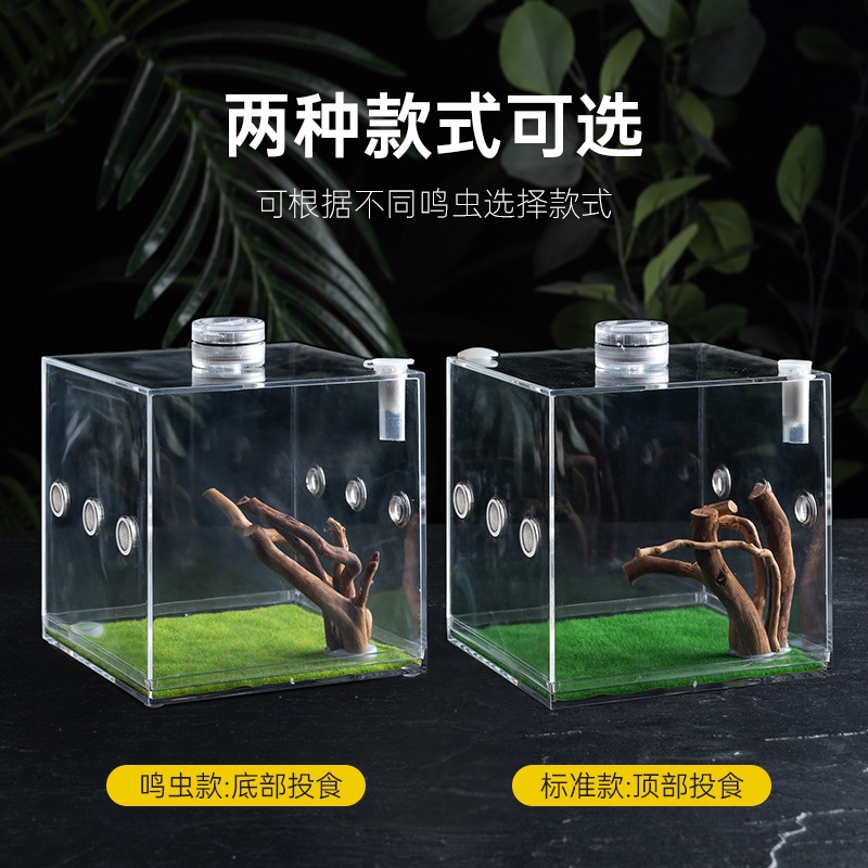 昆虫压克力饲养盒蜘蛛螳螂螽斯蛐蛐迷你爬虫小号生态盒跳蜘鸣虫盒