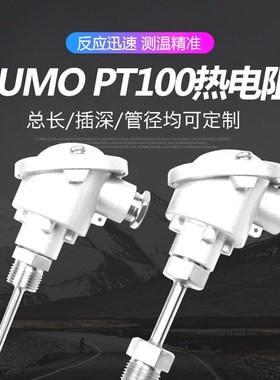 代替 热电阻 PT100 久茂JUMO芯  热电偶 902020/10/11/20/21