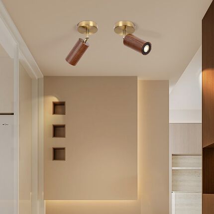 木斯特北欧led射灯客厅墙灯黑胡桃实木服装店轨道过道复古射灯