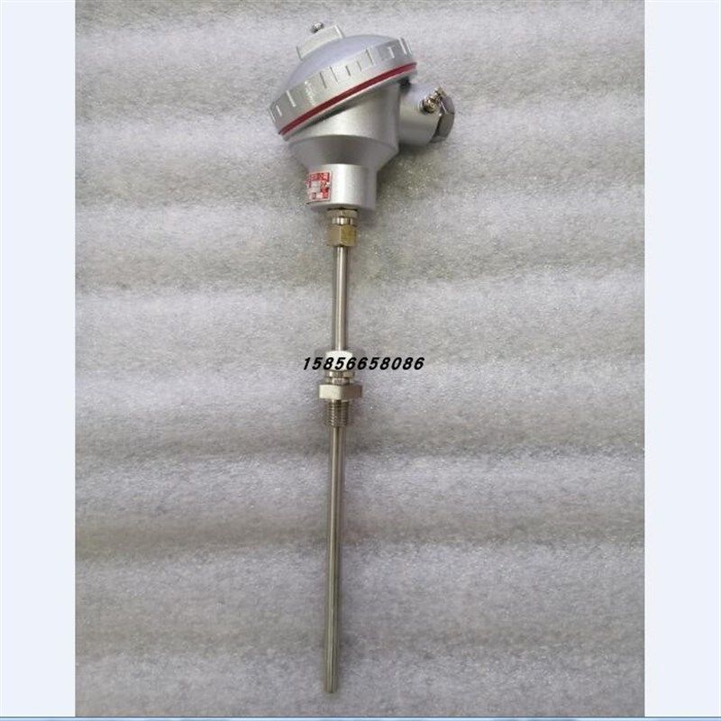 铠装热电偶WRNK-231WRNK-221WRNK2-231WRNK2-221双支K型传感器