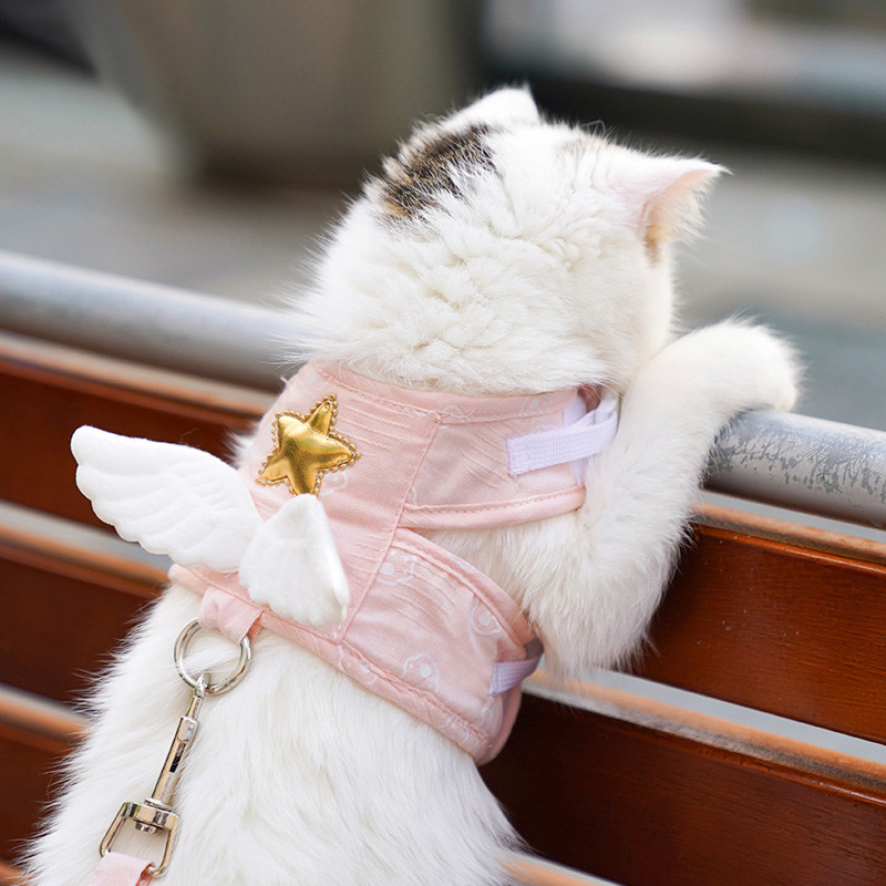 猫咪粉色牵引绳布偶猫外出防挣脱防乱窜高颜值小翅膀胸背带遛猫绳,宠物/宠物食品及用品,猫牵引绳,淘宝优惠券,粉丝福利购,淘宝优惠卷