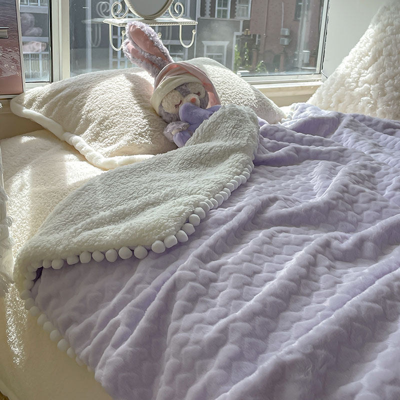 店主自用初恋感奶乖风仿兔绒羊羔绒毛毯珊瑚绒秋冬保暖双层毯子