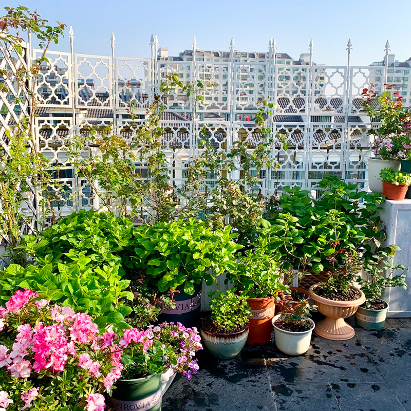 欧式屏风网格花架爬藤支架栏杆隔断栏栅围栏护栏长方形月季攀爬架