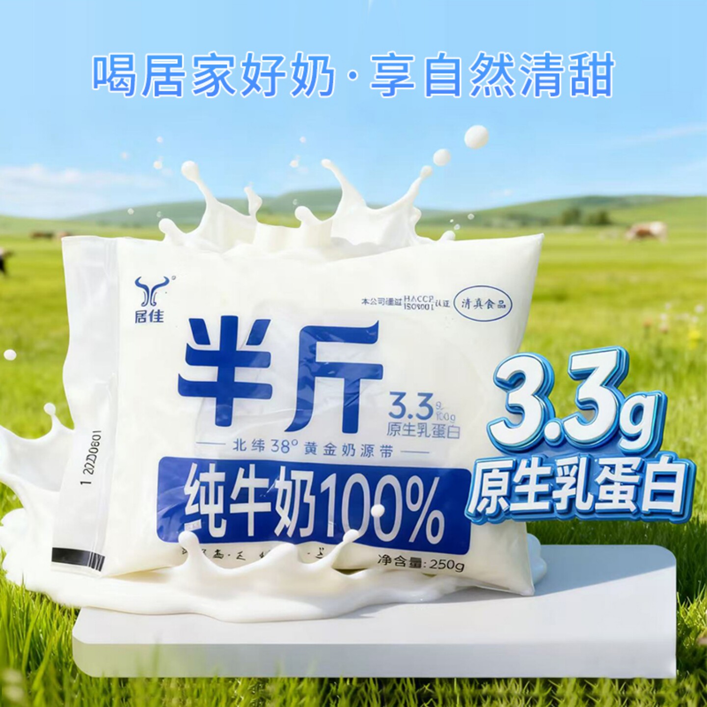 【新鲜】西北居佳纯牛奶半斤装*11袋装孕妇儿童成长早餐奶整箱装