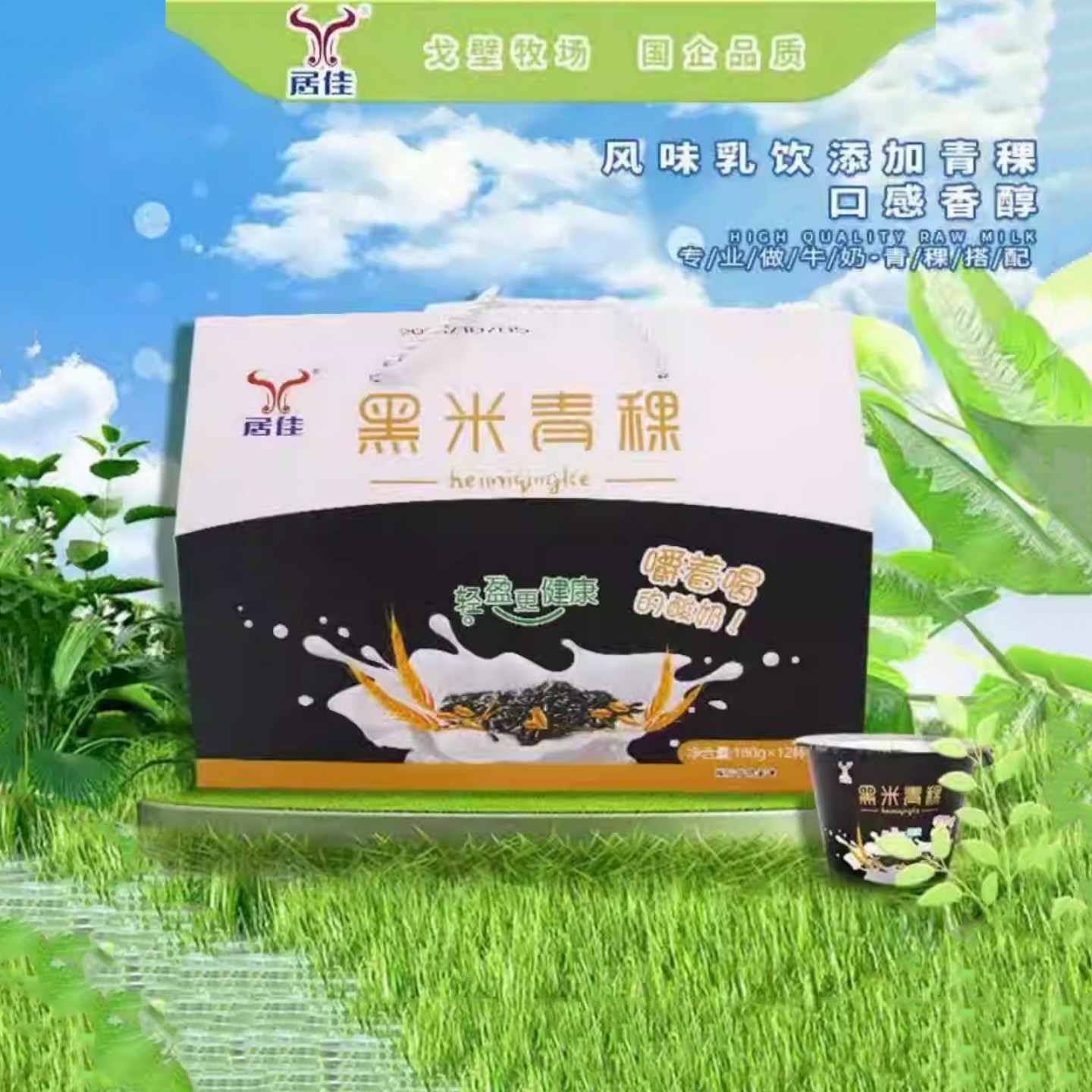 【新鲜】居佳黑米青稞酸奶180g*12碗无蔗糖黑米发酵菌酸奶整箱装,咖啡/麦片/冲饮,低温酸奶,淘宝优惠券,粉丝福利购,淘宝优惠卷