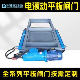 双杆电液推杆驱动平板闸门 轩玮重工出品 同步推拉大口径放料阀