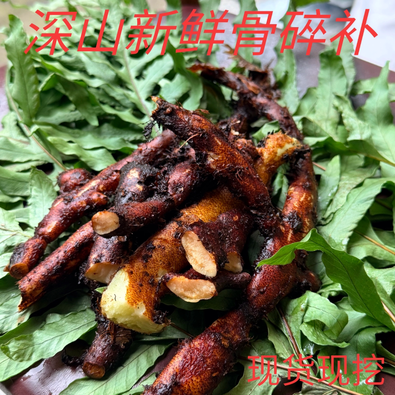野生深山骨碎补鲜货/毛姜/生姜/猴姜/巴岩姜/泡酒老山货