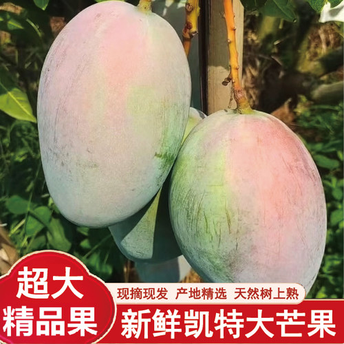 果核超薄可食率75%满满果肉