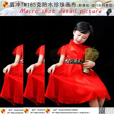 防水无纺布珍珠画布装饰画挂画彩喷墨打印写真喷绘艺术照相像片纸