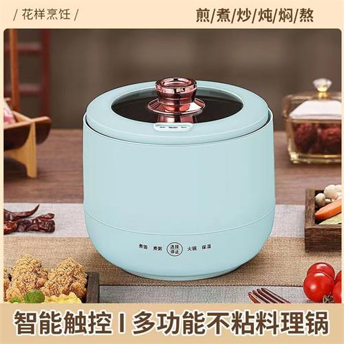 厂家2023新款多功能电饭锅快煮锅家用小电饭锅迷你小功率不沾锅宿
