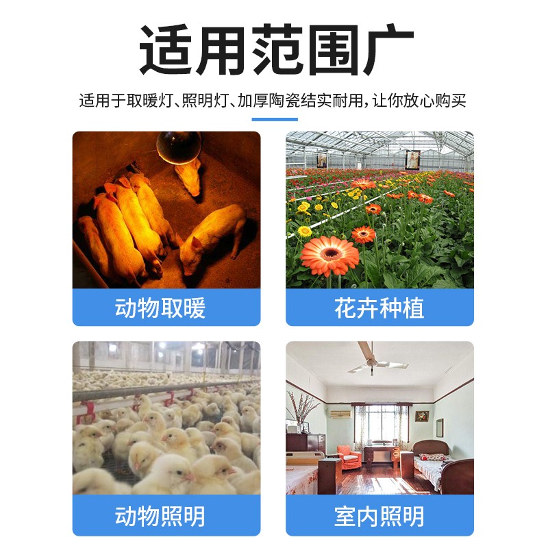 保温灯猪用养殖场专用取暖灯泡宠物小鸡育雏保温灯兽用保暖灯仔猪