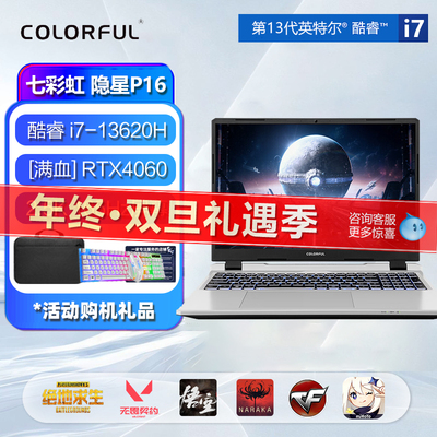 双十一七彩虹隐星P15政府补贴