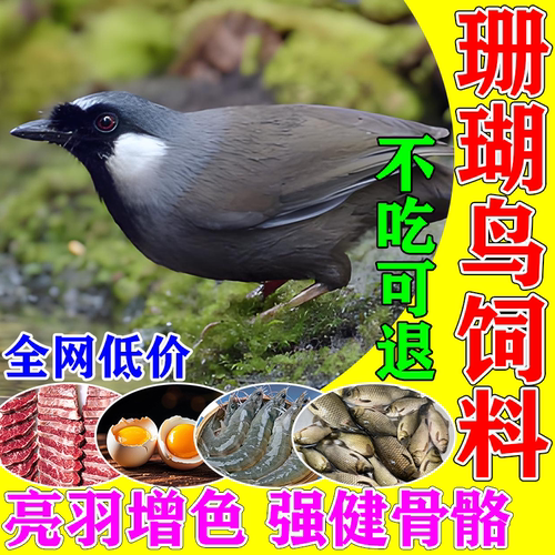珊瑚鸟食饲料提性壮膘专用食物斗鸟料唱鸟料珊瑚鸟幼鸟营养通用粮