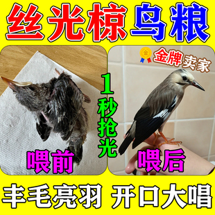 丝光椋鸟饲料专用开口壮膘亮羽提性促鸣幼鸟乌鸫小太阳喜鹊营养粮