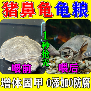 猪鼻龟专用粮上浮大颗粒高钙下沉型饲料黄头侧颈龟剃刀麝香龟通用