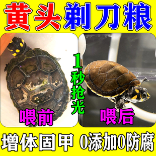 龟粮黄头剃刀龟饲料忍者龟水龟下沉饲料颗粒侧颈龟专用乌龟饲料
