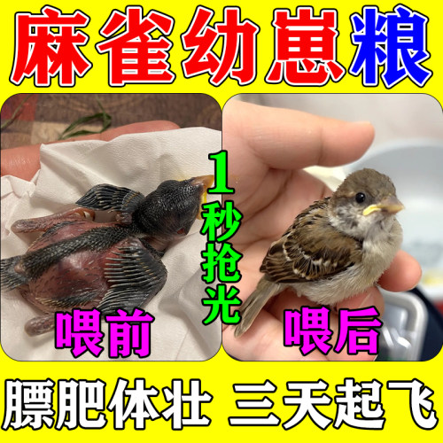 麻雀幼鸟饲料小雏鸟吃的食物粮食山树麻雀黑顶黑胸麻雀家麻雀专用