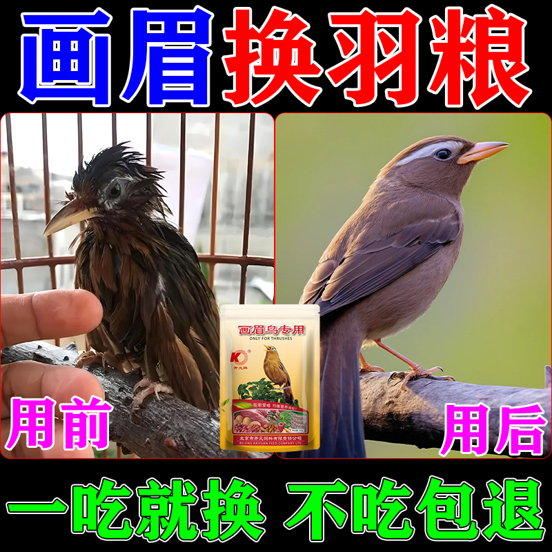 画眉换毛专用饲料营养粮助促快速长毛壮膘换羽靓羽养身提性上气力