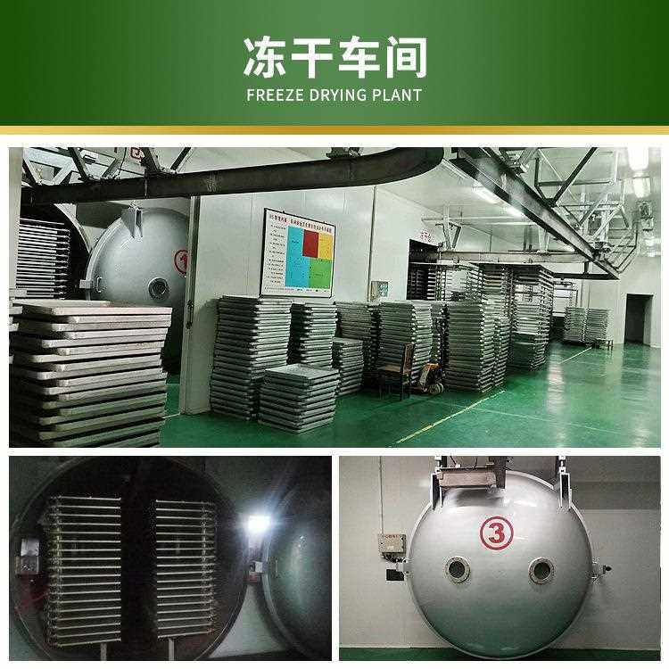 直销新款宠物零食冻干桶装500g猫咪狗狗爱吃的鸡肉粒牛肉虾混合冻