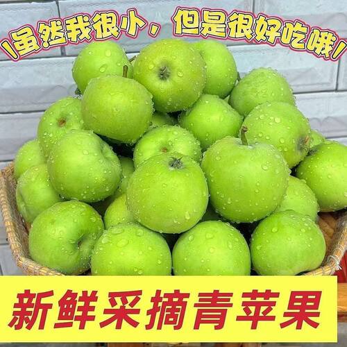 2024青苹果新鲜水果9斤当季整箱现摘小苹果孕妇水果酸脆甜富士
