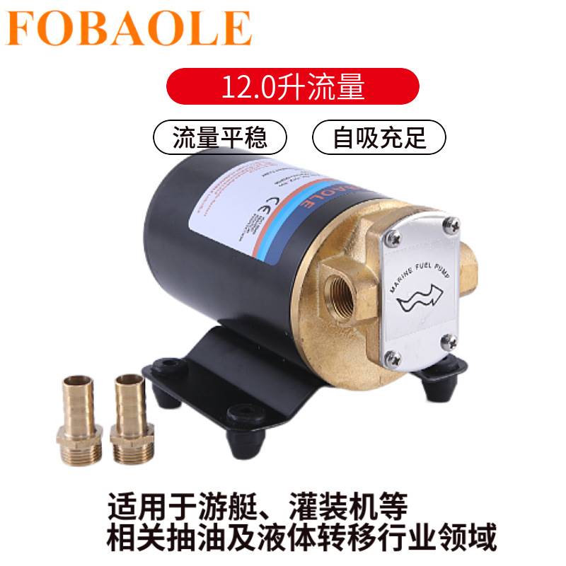 直流齿轮油泵12V/V24微小型柴油泵机油泵润滑油自吸电动12V抽油泵